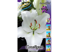 32,2���. ����� �������(�������� ���� �� 5 ��., ����������� ����� 1��.).jpg