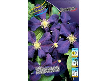 127,8���. �������� �������(�������� ���� �� 3 ��., ����������� ����� 1��.).jpg