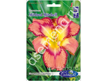 ������� ������.jpg