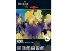 Iris-germanica-Edith-Wolford.jpg