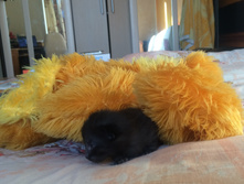 2015-08-12 16.50.21.jpg