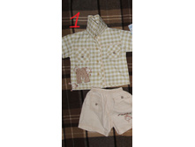 ������ ������