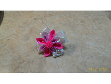 Image-cb5dede8ee2d6ae0bce42093eb7eb0b37542941b28cbc8686f5c5298e54db3ed-V.jpg