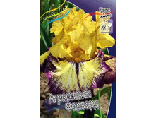 95,3���. ���� ���������� ���������� �������(�������� ���� �� 2 ��., ����������� ����� 1��.).jpg