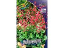 62,77���. ������� ����������(�������� ���� �� 3 ��., ����������� ����� 1��.).jpg