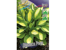 126,9���. ����� ������ ����(�������� ���� �� 1 ��., ����������� ����� 1��.).jpg