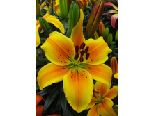 24,44���. ����� ������ ����(�������� ���� �� 5 ��., ����������� ����� 1��.).jpg