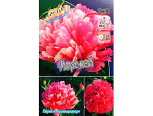 2502,1���. ���� �������(�������� ���� �� 1 ��., ����������� ����� 1��.).jpg