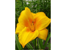 118,6���. �������� ������ �������(�������� ���� �� 1 ��., ����������� ����� 1��.)���16.jpg