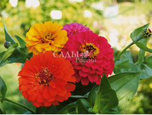 ����� ������ ����� ����� 20�� 11.jpg