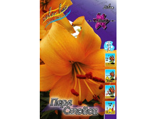 37,4���. ����� ���� ������(�������� ���� �� 5 ��., ����������� ����� 1��.).jpg