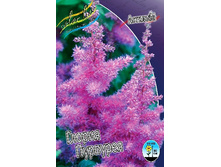 67,6���. �������� ������ ��������(�������� ���� �� 1 ��., ����������� ����� 1��.).jpg