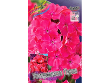 79,37���. ����� ���������� ����(�������� ���� �� 3 ��., ����������� ����� 1��.).jpg