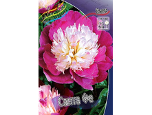 329,3���. ���� ����� ��(�������� ���� �� 1 ��., ����������� ����� 1��.).jpg