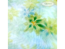 �����-������ Jasmine ������� ZXY001,2.jpg