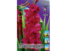 10,44���. ��������� ��������(���������� ������ ������ ���������� �� 7 ��.).jpg