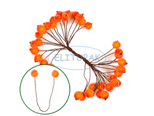 ��005082  ������ ������������  ��������� (1 ��.) 75�.png