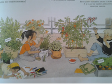 2015-06-27 11-59-13.JPG