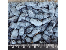 192���. ��������� ���������� ���������.jpg