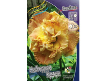 246,4���. �������� �������� �����(�������� ���� �� 1 ��., ����������� ����� 1��.).jpg