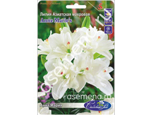 ���� �����.jpg