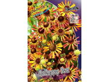 105,4���. �������� ������� ���(�������� ���� �� 1 ��., ����������� ����� 1��.).jpg