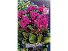 180���. ����� ���������(�������� ���� �� 1 ��., ����������� ����� 1��.).jpg