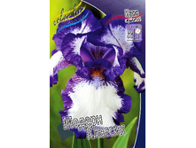 95,3���. ���� ���������� ������ �������(�������� ���� �� 2 ��., ����������� ����� 1��.).jpg