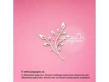 Vetochka CS020002.jpg