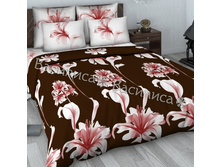 610 ��������.jpg