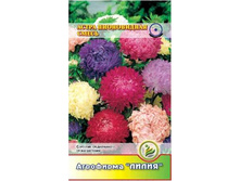 ����� ����������� ����� 	0,3	8,00 ���.