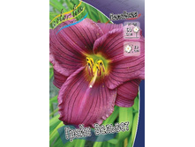 122���. �������� ����� �������(�������� ���� �� 1 ��., ����������� ����� 1��.).jpg