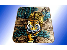 ����, 7010.jpg