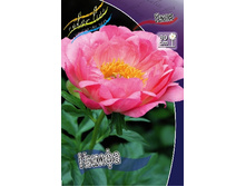 196,6���. ���� �����(�������� ���� �� 1 ��., ����������� ����� 1��.).jpg