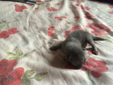 2015-08-02 11.59.56.jpg