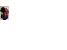����������9.png
