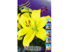 19,3���. ����� �����(���������� �� ����� �������� �� 7��.).jpg