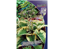 221,5���. �������� ������� ����(�������� ���� �� 1 ��., ����������� ����� 1��.).jpg