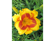 138,6���. �������� ����� ��(�������� ���� �� 1 ��., ����������� ����� 1��.).jpg