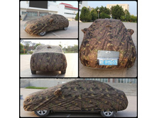 ���� ��� ��������.jpg