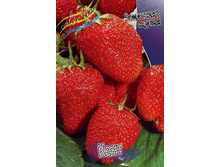 30,7���. ��������� ������� ����(���������� ������ ������ ���������� �� 5 ��.).jpg