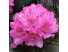 301���. ����������� ��������� ���������� �����������.jpg