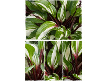 387,4���. ����� ��������� ������(�������� ���� �� 1 ��., ����������� ����� 1��.)���15.jpg