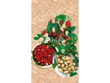 ��������� ������ ������ F1 0,3�� 16,5.jpg