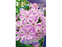 131,5���. ����� �� �� ���(�������� ���� �� 2 ��., ����������� ����� 1��.).jpg