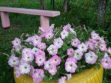 20150625 194017.jpg