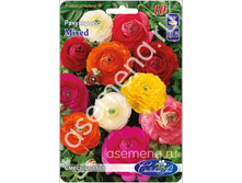 ����� ������.jpg