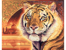 9130454 ���� ���� 1703 ���.jpg