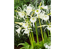 37,34���. ������������ ��������(�������� ���� �� 5 ��., ����������� ����� 1��.).jpg