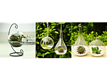 ���� Zakka